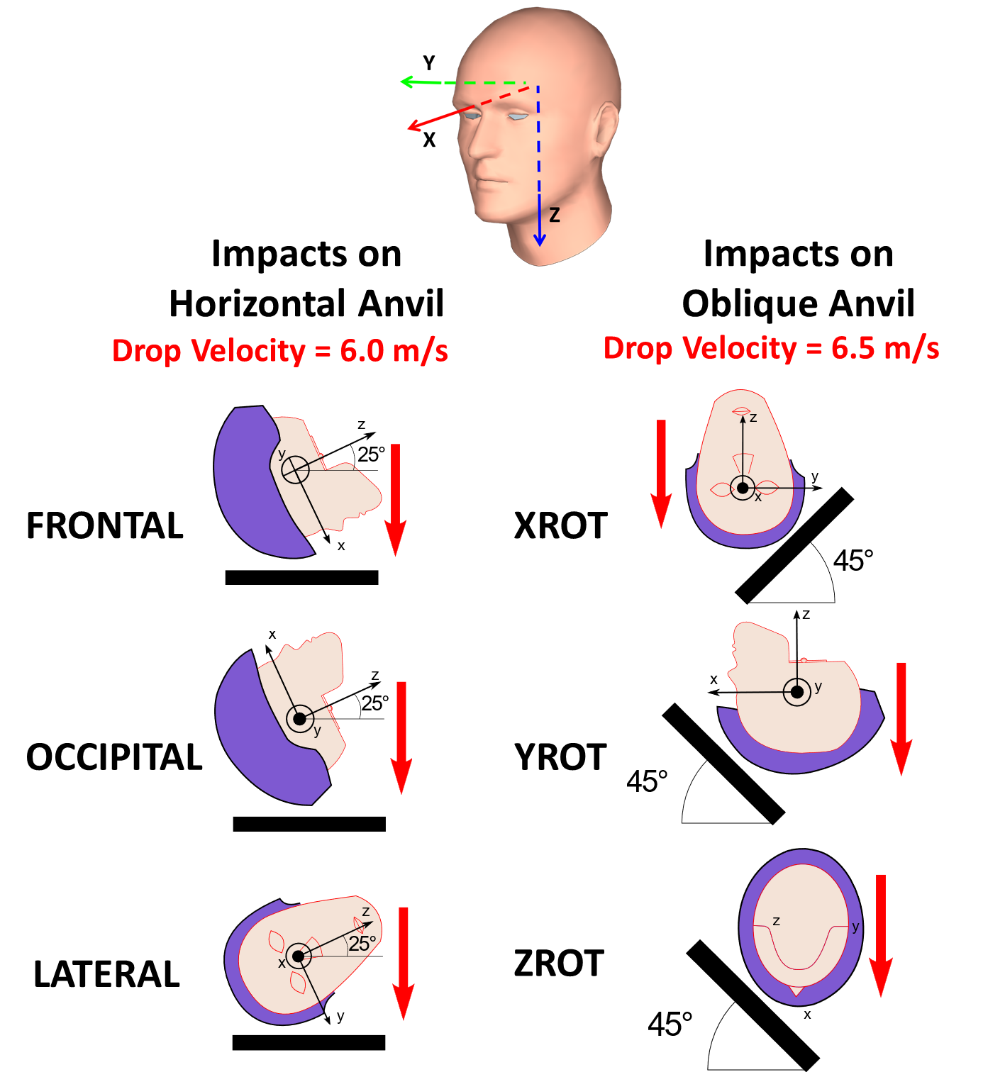mérhode axe équitation